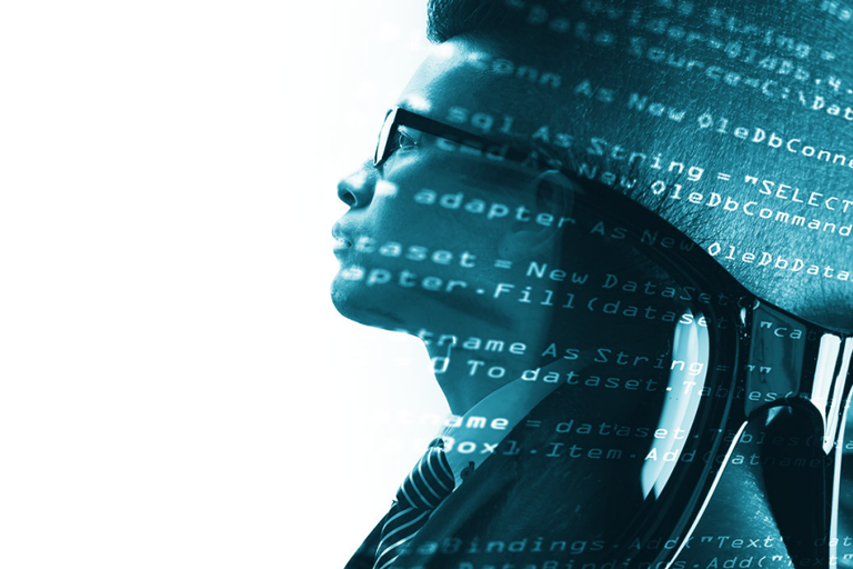 The Miami SEO Company - Orlando Marketing Agency - Wys