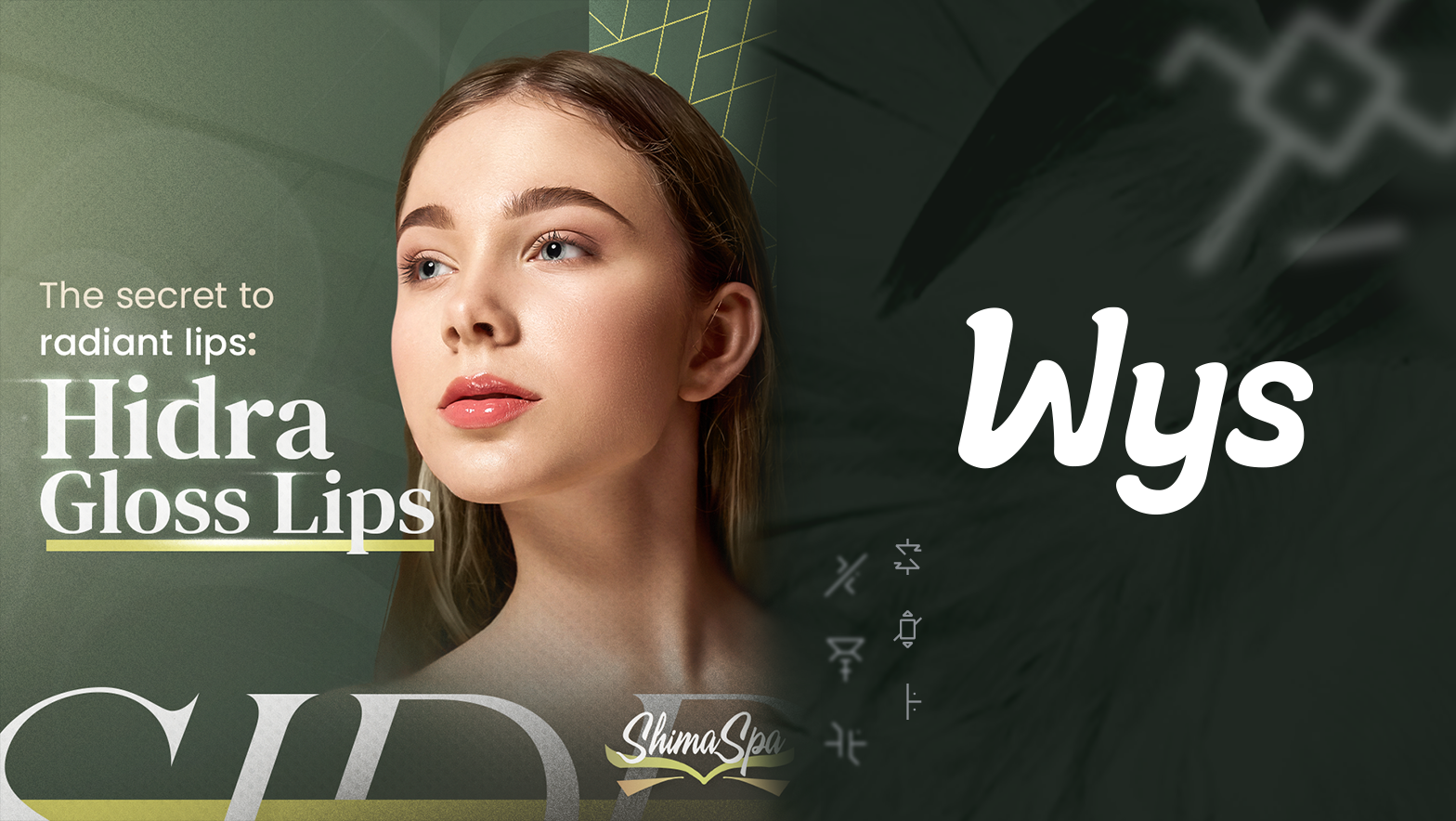 shima-spa - Orlando Marketing Agency - Wys